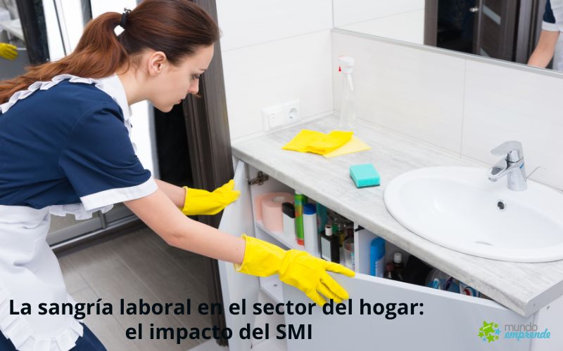 La sangría laboral en el sector del hogar: el impacto del salario mínimo en el empleo de las trabajadoras domésticas